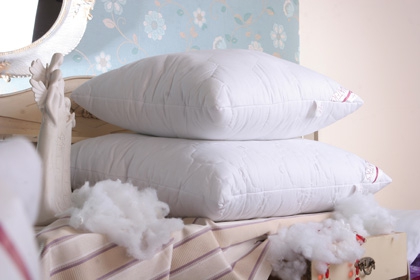 Jastuk Romansa 60 x 80